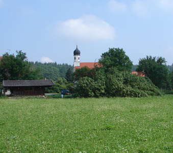 baum5.jpg